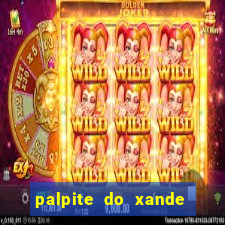 palpite do xande de hoje