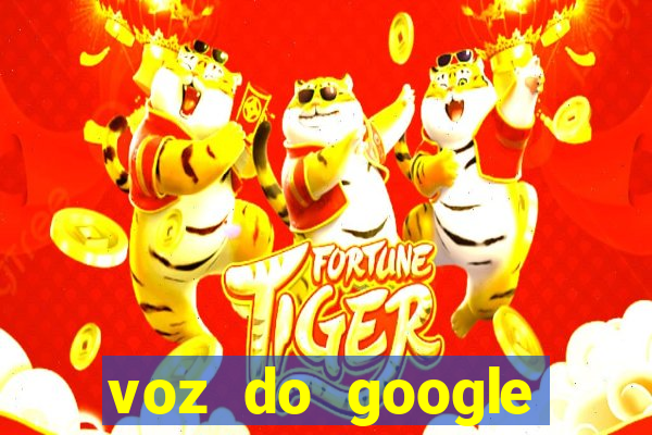 voz do google tradutor homem