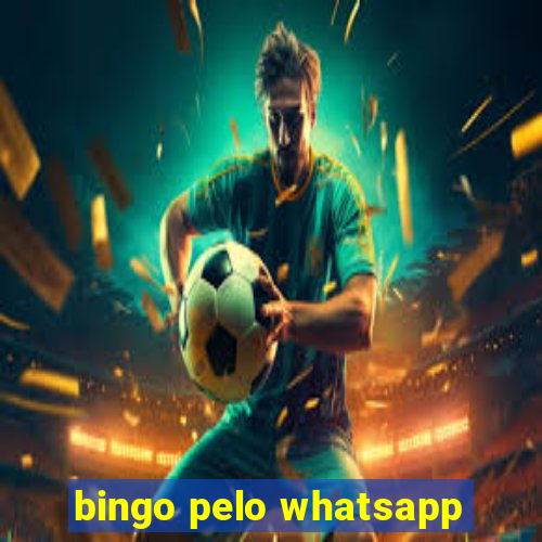 bingo pelo whatsapp