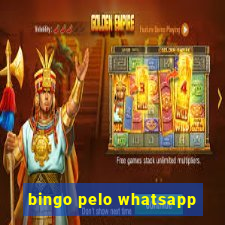 bingo pelo whatsapp