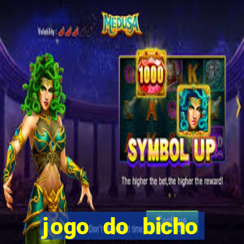 jogo do bicho crash bingo