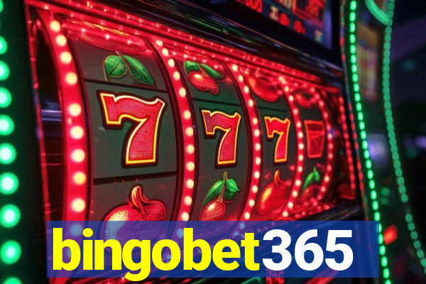 bingobet365