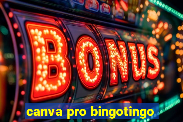 canva pro bingotingo