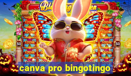 canva pro bingotingo